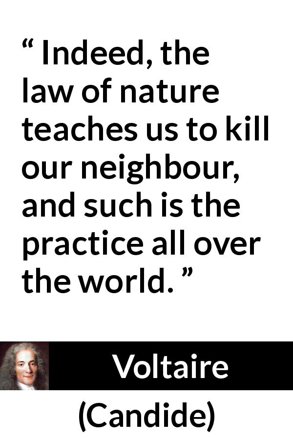 Voltaire quote about killing from Candide - Indeed, the law of nature teaches us to kill our neighbour, and such is the practice all over the world.
