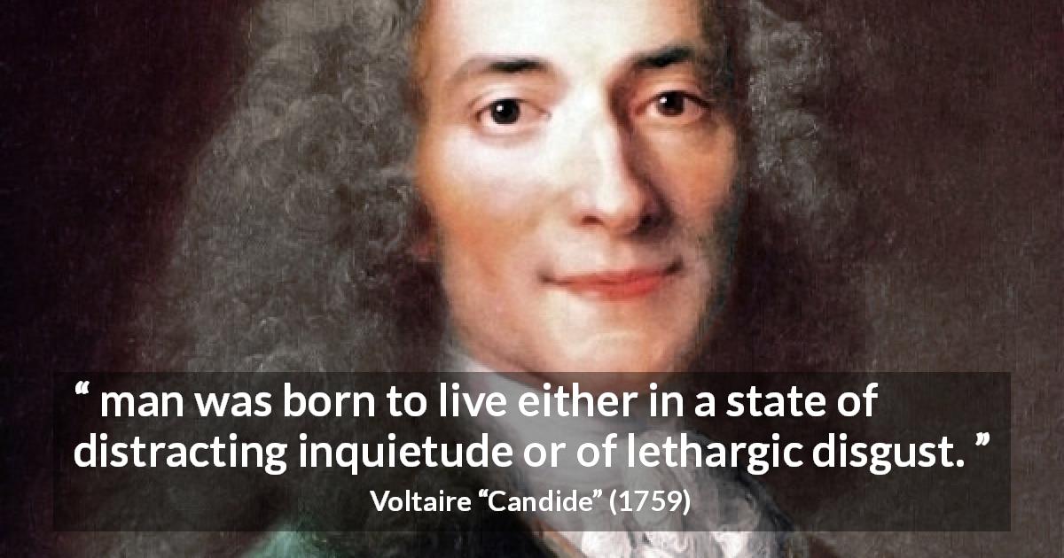 Voltaire quote about life from Candide - This discourse gave rise to new reflections, and Martin especially concluded that man was born to live either in a state of distracting inquietude or of lethargic disgust.