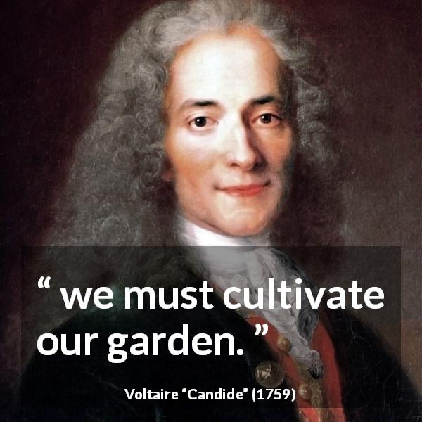 Voltaire-quote-about-practice-from-Candide-1c10253.jpg