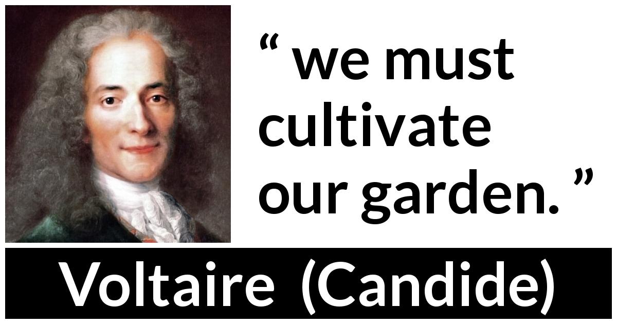 Voltaire quote about practice from Candide - we must cultivate our garden.