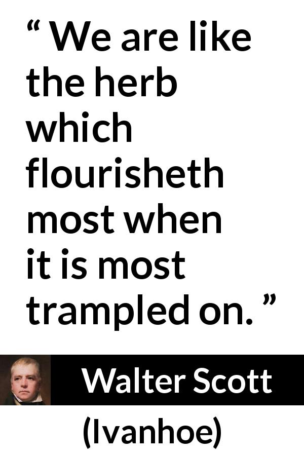 Walter Scott quote about adversity from Ivanhoe - We are like the herb which flourisheth most when it is most trampled on.