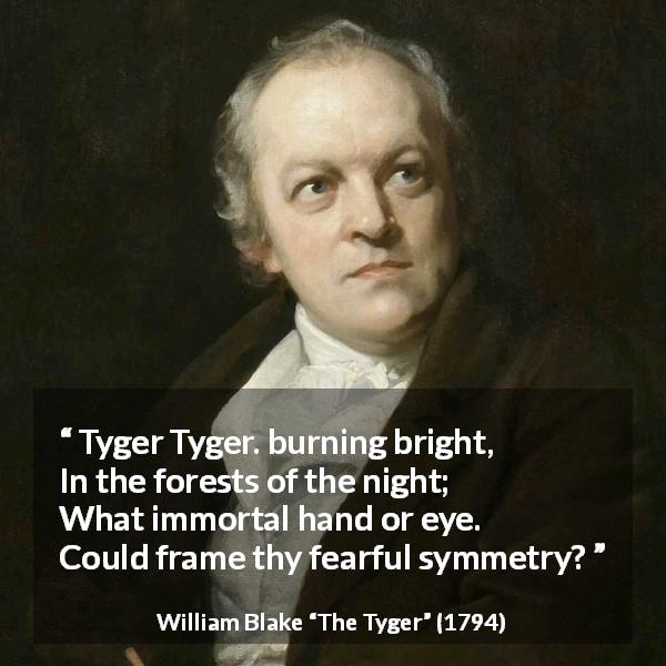 William Blake quote about fear from The Tyger - Tyger Tyger. burning bright,
In the forests of the night;
What immortal hand or eye.
Could frame thy fearful symmetry?