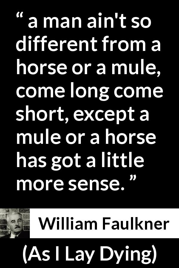 William Faulkner quote about common sense from As I Lay Dying - a man ain't so different from a horse or a mule, come long come short, except a mule or a horse has got a little more sense.