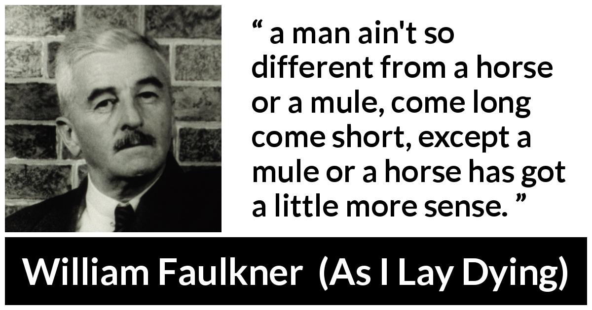 William Faulkner quote about common sense from As I Lay Dying - a man ain't so different from a horse or a mule, come long come short, except a mule or a horse has got a little more sense.