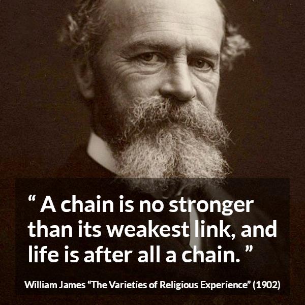 William James quote about life from The Varieties of Religious Experience - A chain is no stronger than its weakest link, and life is after all a chain.