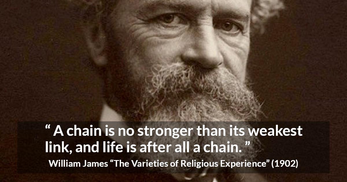 William James quote about life from The Varieties of Religious Experience - A chain is no stronger than its weakest link, and life is after all a chain.