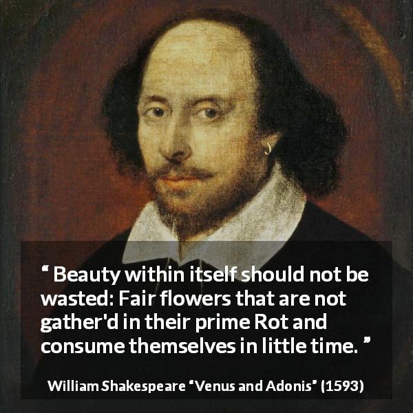 William Shakespeare quote about flower from Venus and Adonis - Beauty within itself should not be wasted: Fair flowers that are not gather'd in their prime Rot and consume themselves in little time.