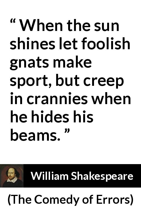 William Shakespeare quote about foolishness from The Comedy of Errors - When the sun shines let foolish gnats make sport, but creep in crannies when he hides his beams.